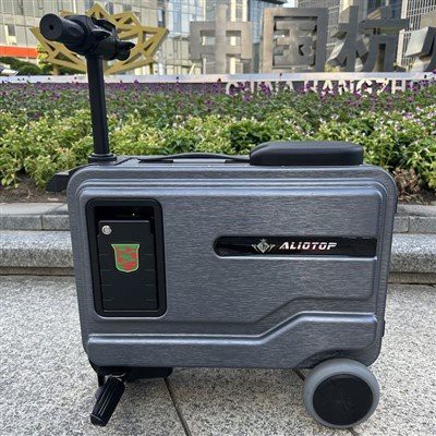 Qo'l chamadoniga minish